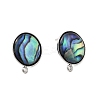 304 Stainless Steel Pave Natural Paua Shell Stud Earring Findings STAS-Z125-10P-2
