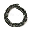 Natural Seraphinite Beads Strands G-K376-E06-4x6mm-3