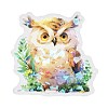 Animal Waterproof PET Stickers Set DIY-G118-03B-2