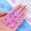 Transparent Acrylic Beads MACR-S373-107-D03-6