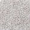 8/0 Glass Seed Beads X1-SEED-A017-3mm-1109-2