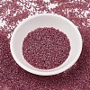 MIYUKI Delica Beads SEED-X0054-DB1746-2
