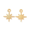 Ion Plating(IP) 304 Stainless Steel Charms X-STAS-F293-42G-1
