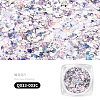 Nail Art Glitter Sequins AJEW-Q033-003C-2