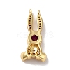 Rack Plating Brass Micro Pave Cubic Zirconia Pendants KK-A160-21B-G-2