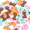 40Pcs 4 Colors Opaque Resin Pendants RESI-CJ0002-29-3