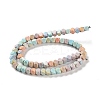 Natural Rainbow Alashan Agate Beads Strands G-NH0022-L01-01-3