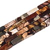 Natural Picasso Jasper/Polychrome Jasper Beads Strands G-T141-104-4