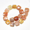 Natural Red Agate Beads Strands G-S357-D02-09-2