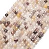 Natural Violet Strawberry Quartz Beads Strands G-A260-A55-01-2