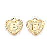 Alloy Pendants PALLOY-N157-001B-NR-1