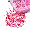 8500Pcs 10 Style Glass Seed Beads SEED-YW0001-80A-3