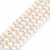 Natural Cultured Freshwater Pearl Beads Strands LS-PEAR-N013-04B-01-1
