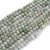 Natural Myanmar Jade/Burmese Jade Beads Strands X-G-K300-H01-A-2