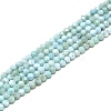Natural Larimar Beads Strands G-A187-02B-1