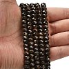 Natural Bronzite Beads Strands G-Z111-A25-2