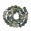Natural Moss Agate Beads Strands LS-G-R445-8x10-01-2