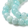Natural Amazonite Round Beads Strands X-G-A025-01A-4