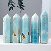 Point Tower Natural Amazonite Home Display Decoration PW-WG33943-01-2