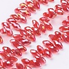 Electroplate Glass Faceted Teardrop Beads Strands EGLA-D014-16-1