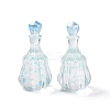 Dummy Bottle Transparent Resin Cabochon RESI-E025-06C-1