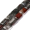 Natural African Bloodstone Beads Strands G-T047-B06-01-1