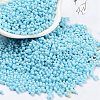 Baking Paint Glass Seed Beads X1-SEED-A033-05P-1
