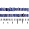 Handmade Lampwork Beads Strands LAMP-Q037-02B-12-4
