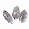 Natural Labradorite Links Connectors G-R472-03M-1