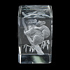 3D Laser Engraving Animal Glass Figurine DJEW-R013-01E-2