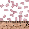 FGB Frosted Transparent Glass Seed Beads SEED-N013-05A-06-4