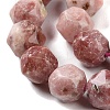 Natural Plum Blossom Jasper Beads Strands G-NH0021-A20-02-4
