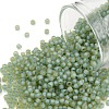 TOHO Round Seed Beads SEED-XTR11-0952FM-1