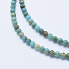 Natural Aqua Terra Jasper Beads Strands G-E444-14A-4mm-3
