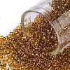 TOHO Round Seed Beads SEED-JPTR08-2156-1