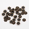 Tibetan Style Alloy Bead Caps LS-K08YE061-2