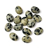 Natural Dalmatian Jasper Cabochons G-A094-01B-51-1
