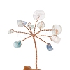 Natural Fluorite Chips Tree of Life Decorations DJEW-P022-02A-02-2