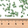 Glass Seed Beads SEED-S042-04B-26-4