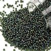 TOHO Round Seed Beads SEED-JPTR15-0180F-1