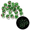 Handmade Lampwork Beads LAMP-B030-01D-1