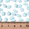 Baking Paint Glass Seed Beads SEED-T007-15L-4