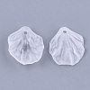 Transparent Acrylic Pendants X-FACR-T001-07-2