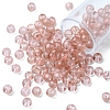 6/0 Transparent Glass Seed Beads SEED-YW0002-11C-2