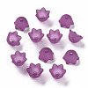 Transparent Acrylic Beads Caps PL543-7-2