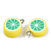 Handmade Polymer Clay Charms CLAY-T016-59B-3