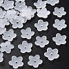 Transparent Acrylic Beads MACR-S373-118-D-2