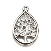 304 Stainless Steel Pendants LS-STAS-M116-31P-2