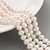 Natural Cultured Freshwater Pearl Beads Strands PEAR-C003-12H-1
