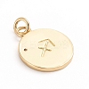 Brass Micro Pave Cubic Zirconia Pendants ZIRC-E164-34F-G-2